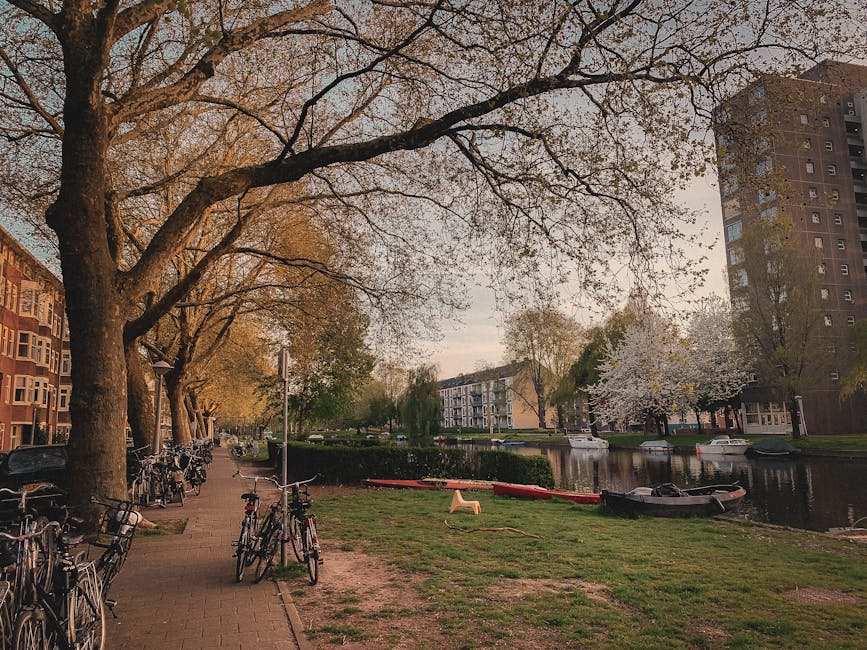 The image depicts a riverside scene in an urban residential area during daylight, featuring a paved pedestrian walkway on the left where multiple bicycles are parked along metal bike racks. Large, mature deciduous trees with sparse foliage extend their branches over the pathway, creating a canopy that filters soft, natural light. On the right side, there's a grassy area with a few small boats moored along the riverbank, including a black inflatable boat and a white kayaks, with some red in kayaks or boats visible. In the background, modern apartment buildings with multiple stories and numerous windows are visible, with one taller high-rise on the far right. The river itself is calm, reflecting the surrounding trees and buildings, and the scene has a tranquil atmosphere. The overall setting suggests an outdoor space maintained for both leisure and residential use, where independent rubbish collection or on-site clearance by services like those of Rubbish collection Holland Park might be relevant, especially in managing waste from nearby urban residents and visitors.